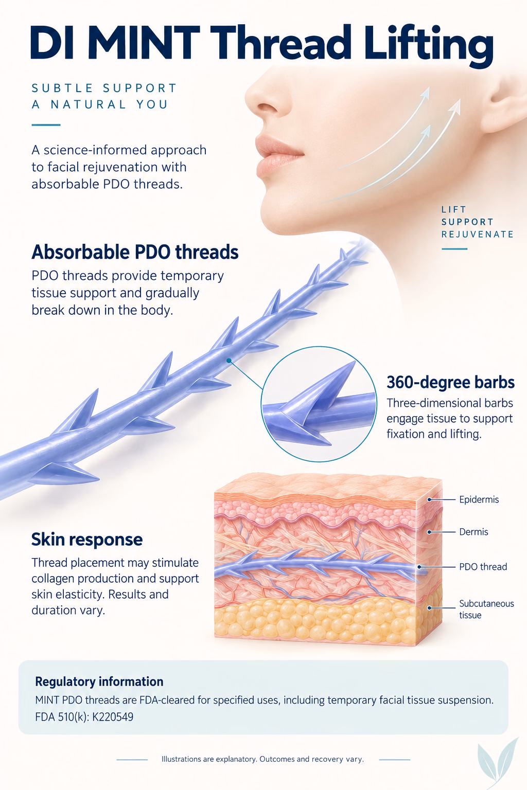 DI MINT Thread Lifting
Absorbable PDO threads
PDO threads provide temporary tissue support and gradually break down in the body.
360-degree barbs
Three-dimensional barbs engage tissue to support fixation and lifting.
Skin response
Thread placement may stimulate collagen production and support skin elasticity. Results and duration vary.
Regulatory information
MINT PDO threads are FDA-cleared for specified uses, including temporary facial tissue suspension.
FDA 510(k): K220549
Illustrations are explanatory. Outcomes and recovery vary.